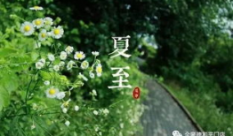 夏至当天吃什么,品味传统美食，共度盛夏时光