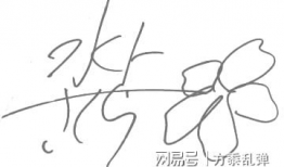 水卜樱视频,音乐与情感的完美融合